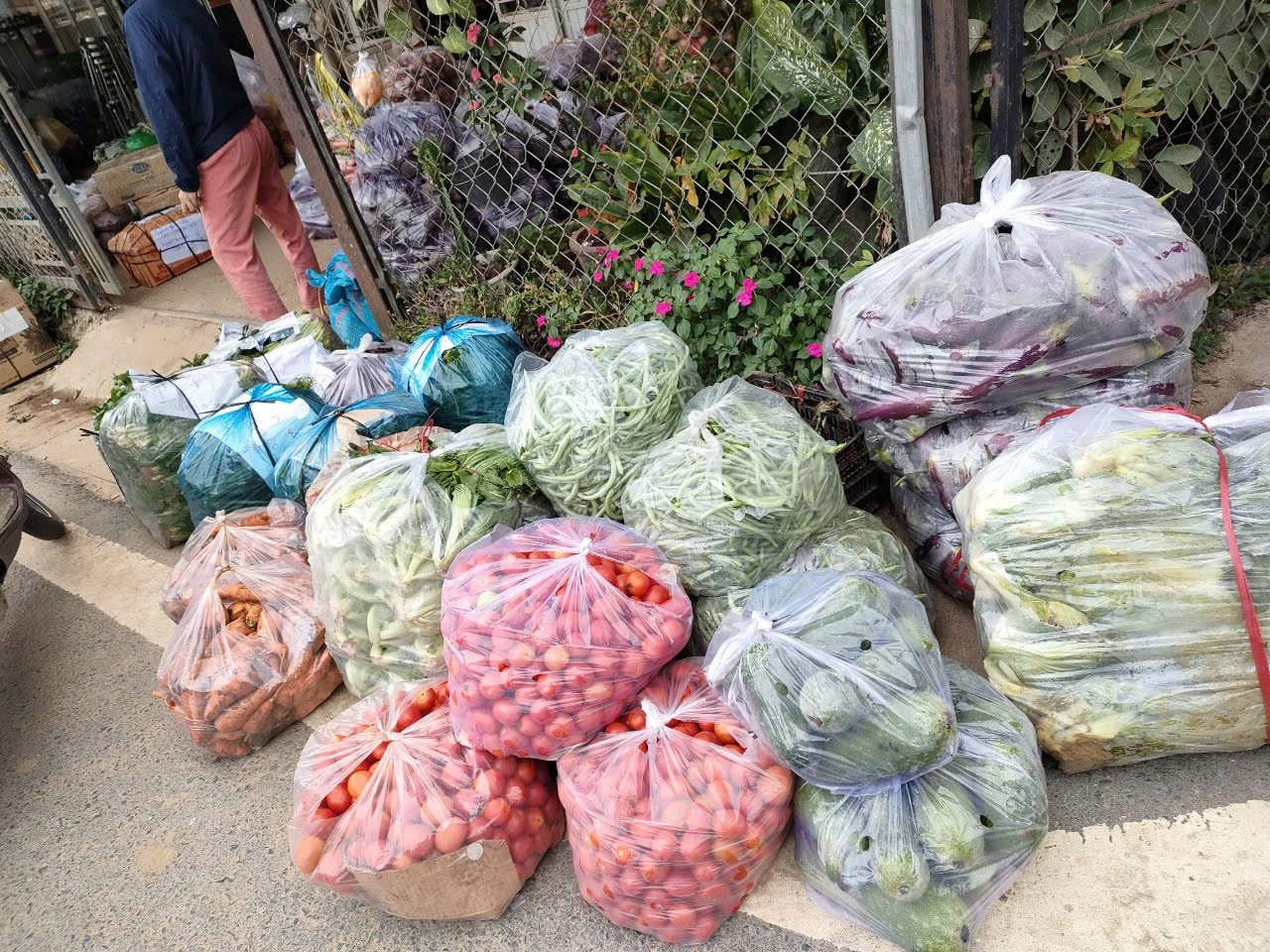 Hoạt Động Từ Thiện 2